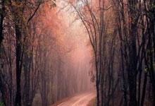 河北华夏幸福客场战平武汉卓尔，保持不败