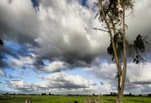 欧洲冠军赛即将开启，各队实力均不可小视