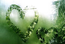 苏州东吴遭遇主场失利，扣分严重